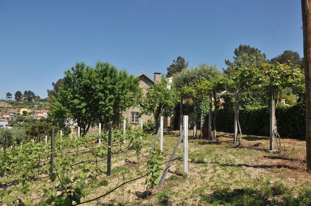 Quinta Do Vale Sanguinho Seia